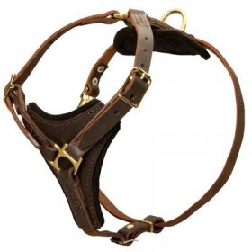 Tracking Leather Belgian Malinois Harness With Y-Chest Plate