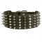 Belgian Malinois Leather Collar Spiked and Studded