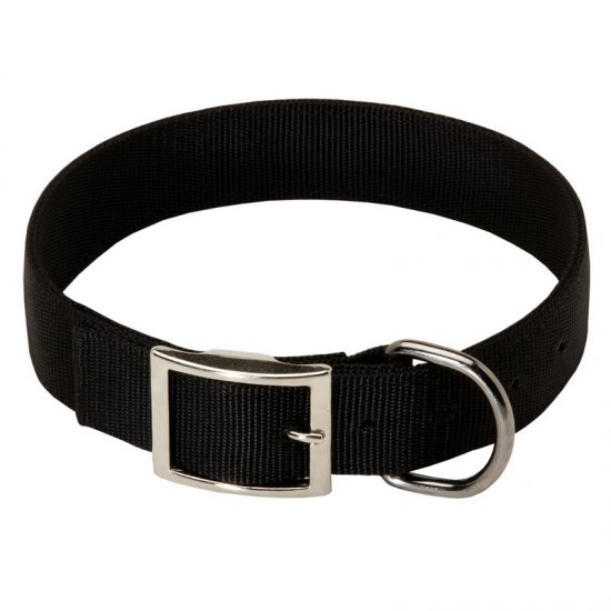 a dog collar