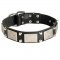 Leather Belgian Malinois Collar Decorated with Nickel Cones and Plates