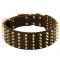 Wide Spiked Leather Belgian Malinois Collar