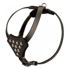 Designer Leather Belgian Malinois Harness with Adjustable Straps for Puppy Walking and Training