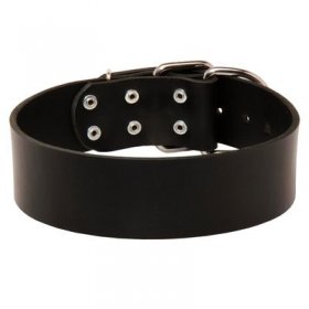 Extra Wide Leather Belgian Malinois Collar for Professional Training