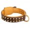 Spiked Belgian Malinois Collar Padded with Nappa Leather