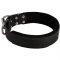 Durable Padded Leather Belgian Malinois Collar