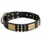 Spiked Leather Belgian Malinois Collar with Plates and Cones