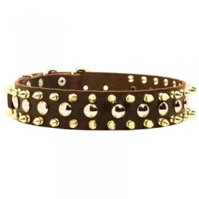 Spiked and Studded Leather Belgian Malinois Collar