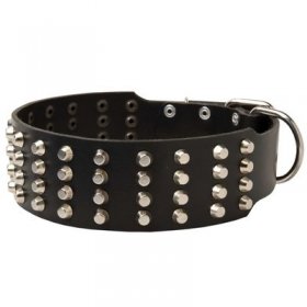 Extra Wide 4 Rows Studded Leather Belgian Malinois Collar