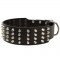 Extra Wide 4 Rows Studded Leather Belgian Malinois Collar