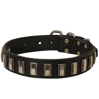 Belgian Malinois Leather Collar with Shiny Plates [C90##1125 Leather ...