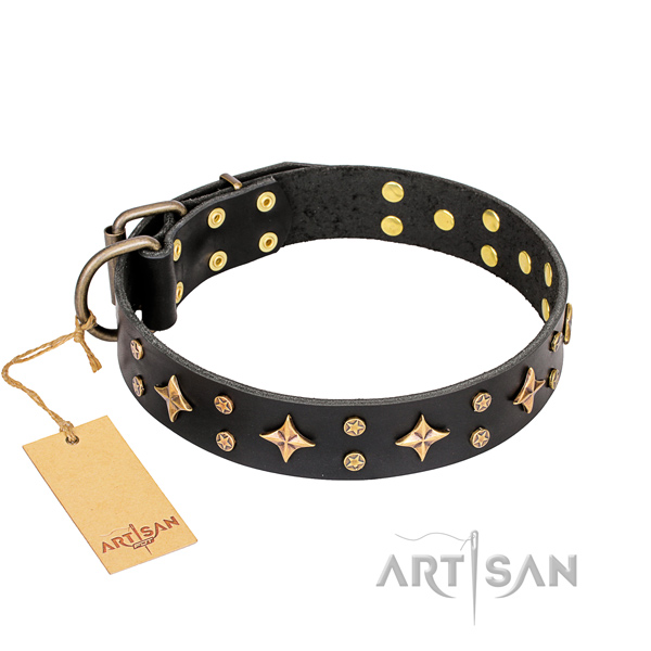 Decorated full grain natural leather dog collar for comfortable wearing