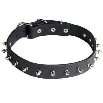 Belgian Malinois Dog Leather Collar Steel Nickel Plates Spikes