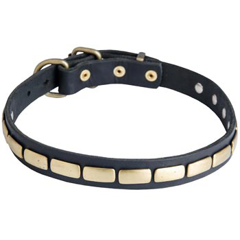 Walking Leather Collar with Brass Decoration for Belgian Malinois