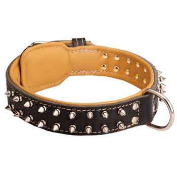 Belgian Malinois Collar Leather Spiked Padded