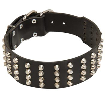 2 Inches Leather   Belgian Malinois Collar Extra Wide Studded