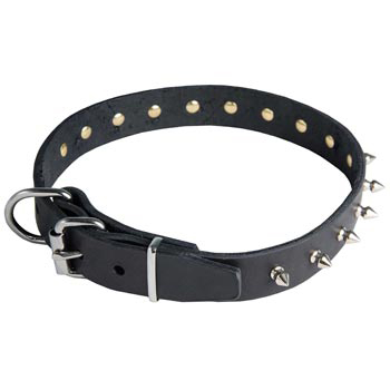 Belgian Malinois Leather Collar with Spikes
