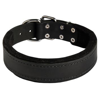 Adjustable Belgian Malinois Collar