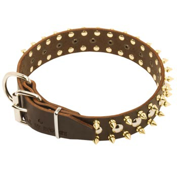 Leather Belgian Malinois Collar with Rust-proof Decoration