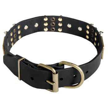 Studded Leather Belgian Malinois Collar for Walking