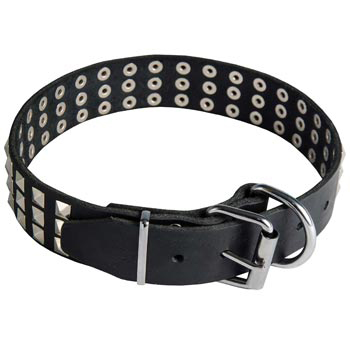 Leather Collar with Pyramids for Belgian Malinois
