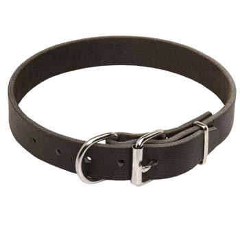 Dog Leather Collar for Belgian Malinois Training and Walking