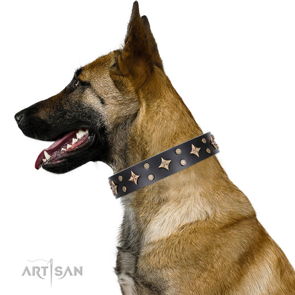 Amazing genuine leather collar for your beautiful pet