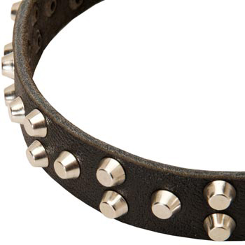 Leather Belgian Malinois Collar Durable Stud Decorated