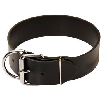 Belgian Malinois Leather Collar of Extra Width