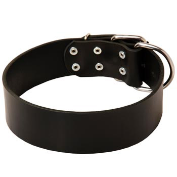 Leather Belgian Malinois Collar for Control During Walking