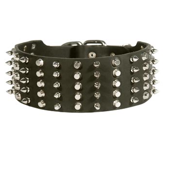 Belgian Malinois Spiked Studded  Leather Collar