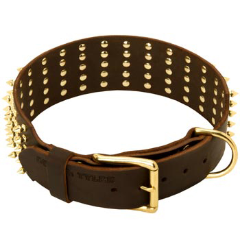 Leather Belgian Malinois Collar with Solid Buckle and D-ring