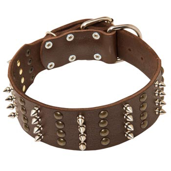 Leather Collar for Belgian Malinois Walking in Style 