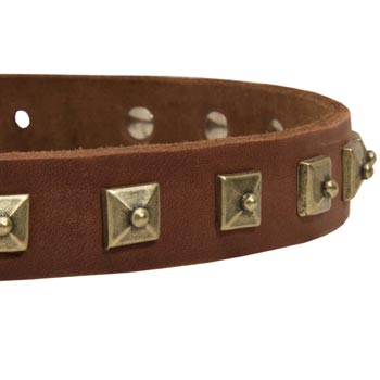 Belgian Malinois Leather Collar With Square  Studs