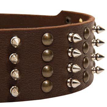 Belgian Malinois Leather Collar with Rust-proof Fittings