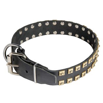 Leather Belgian Malinois Collar with Solid Rivets