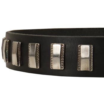 Stylish Leather Collar with Vintage Plates for Belgian Malinois