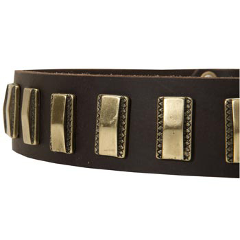 Leather Dog Collar with Adornment for Belgian Malinois