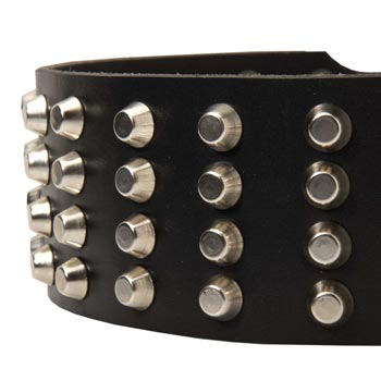 Leather Dog Collar with Studs for   Belgian Malinois