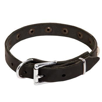 Leather Dog Puppy Collar with Steel Nickel Plated Studs for Belgian Malinois