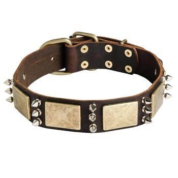 War-Style Leather Dog Collar for Belgian Malinois