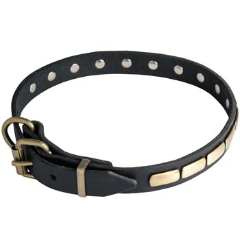 Belgian Malinois Leather Dog Collar with Brass Buckle 