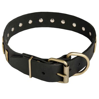 Unique Design Leather Dog Collar with Adjustable Buckle for   Belgian Malinois