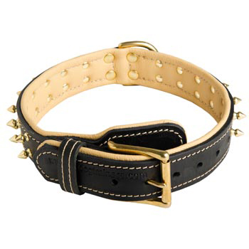 Leather Dog Collar Spiked Adjustable for Belgian Malinois Walking