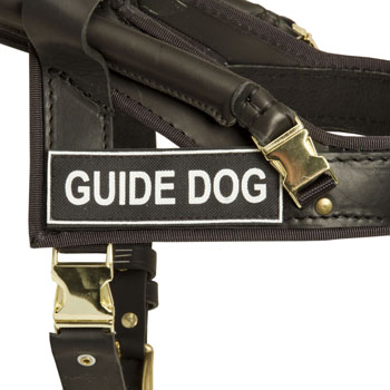 Belgian Malinois Leather Guide Harness with ID Patches