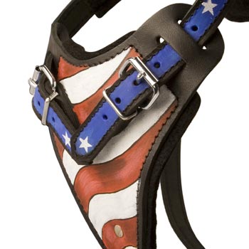 Belgian Malinois Leather Harness With Hand Painted USA  Chest Plate