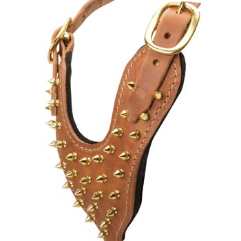 Brass Spiked Leather Belgian Malinois Harness