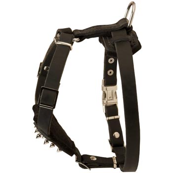 Belgian Malinois Leather Harness for Puppy Walking and Training