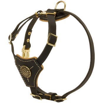 Walking Training Leather Puppy Harness for Belgian Malinois