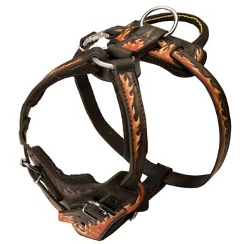 Leather Dog Harness with Handle for Belgian Malinois Training