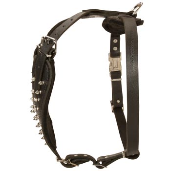 Adjustable Leather Harness for Belgian Malinois